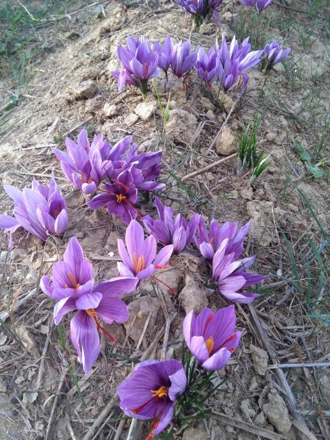 Angolo Del Gelsomino Castel Ritaldi ภายนอก รูปภาพ